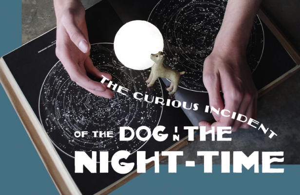 The Curious Incident of the Dog in the Night-Time: Live & In-Person